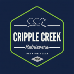 Cripple Creek Retrievers